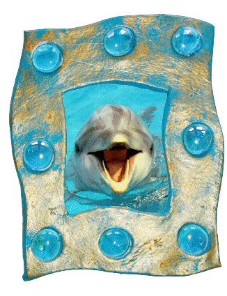 le dauphin